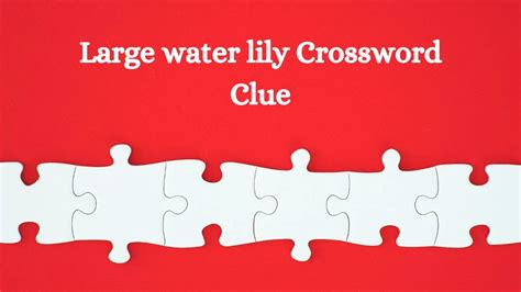 water lily crossword clue